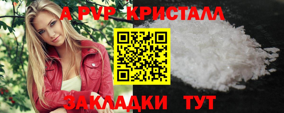 APVP СК  Вход с VPN  Альфа ПВП СК КРИС  Советская Гавань 