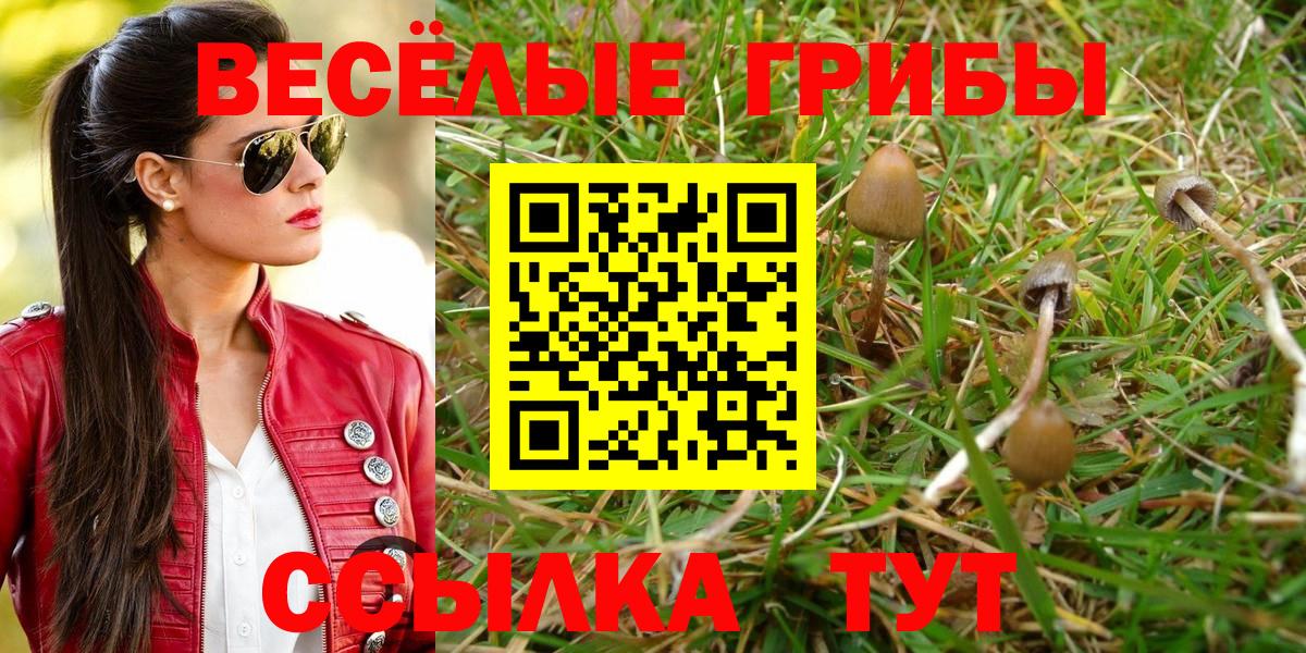 Галлюциногенные грибы Cubensis Советская Гавань